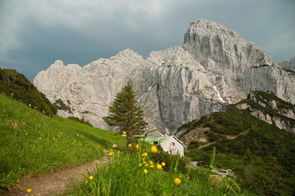 Hotel Neuwirt Kirchdorf in Tirol Zewnętrze zdjęcie
